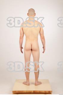 Body texture of Denis 0011